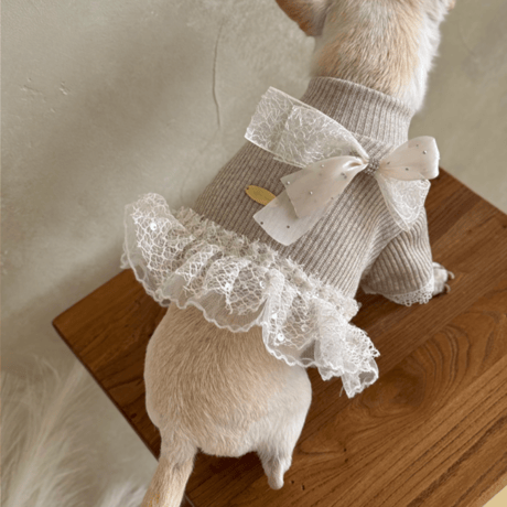 【予約】Raffine Mong ... Shine Beige Gold Top