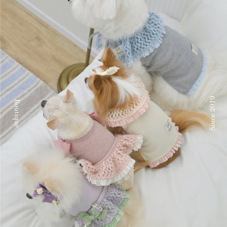 【予約】Raffine Mong ... Le Petit Cape Set