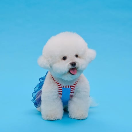 【即納】comocomo...cherry blue