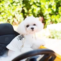 【即納】PEEKAPOODLE...オリジナルＴシャツ white