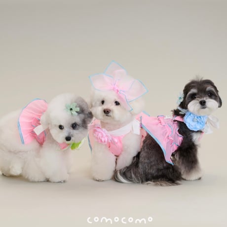 【予約】comocomo...PINK RURU