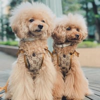【即納】大人可愛いキャミソール♡