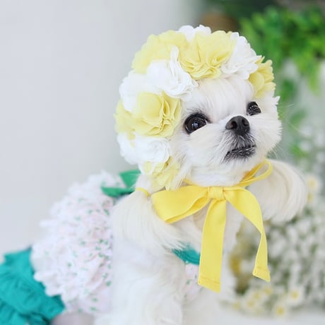【予約】HAPPYJJANGGU♪ Joyful Cross Bikini Small Flower