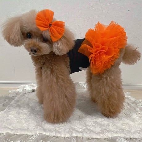 【即納】chicodicha...orange color tutu