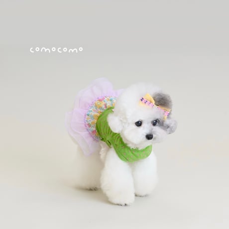【予約】comocomo...CUP CAKE GREEN