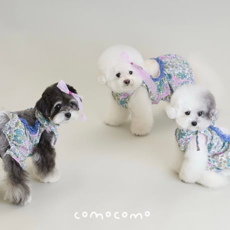 【予約】comocomo...BAM BOO