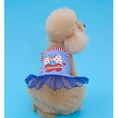 【即納】comocomo...cherry blue