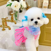 【即納】your haru...Stone Candy pink Drees