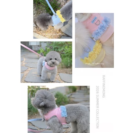 【予約】Raffine Mong ... Peony Harness