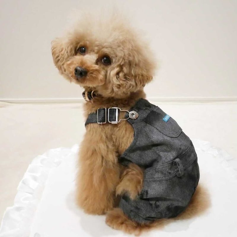 犬服　パンダ　デニムサロペットワンピース　見本 犬服 パンダ デニムサロペットワンピース 見本