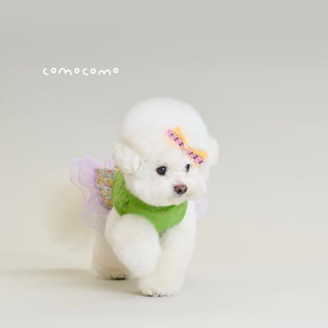【予約】comocomo...CUP CAKE GREEN