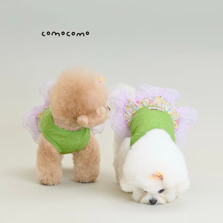 【予約】comocomo...CUP CAKE GREEN