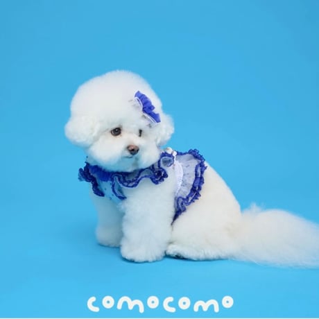 【予約】comocomo... FORGARDEN BLUE