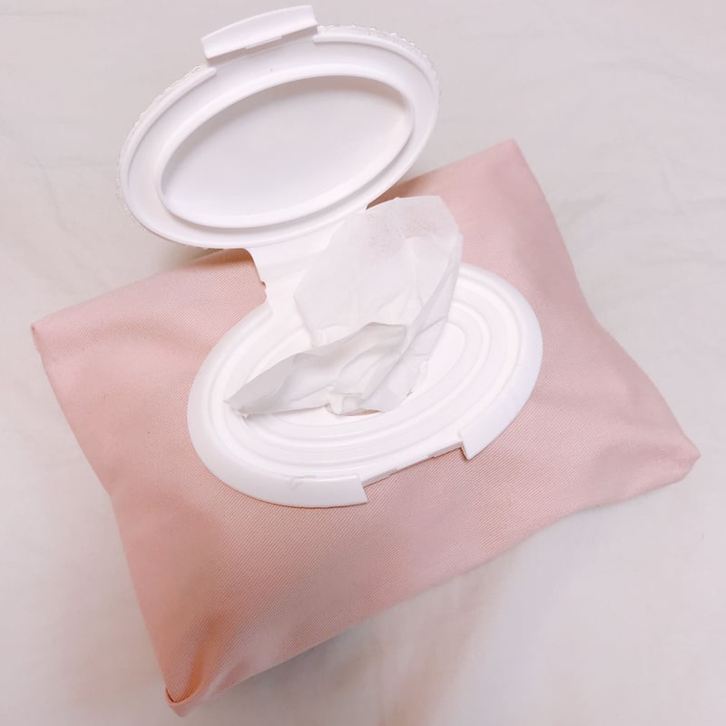 ウェットティッシュポーチ b286-001-001_685-10.jpg