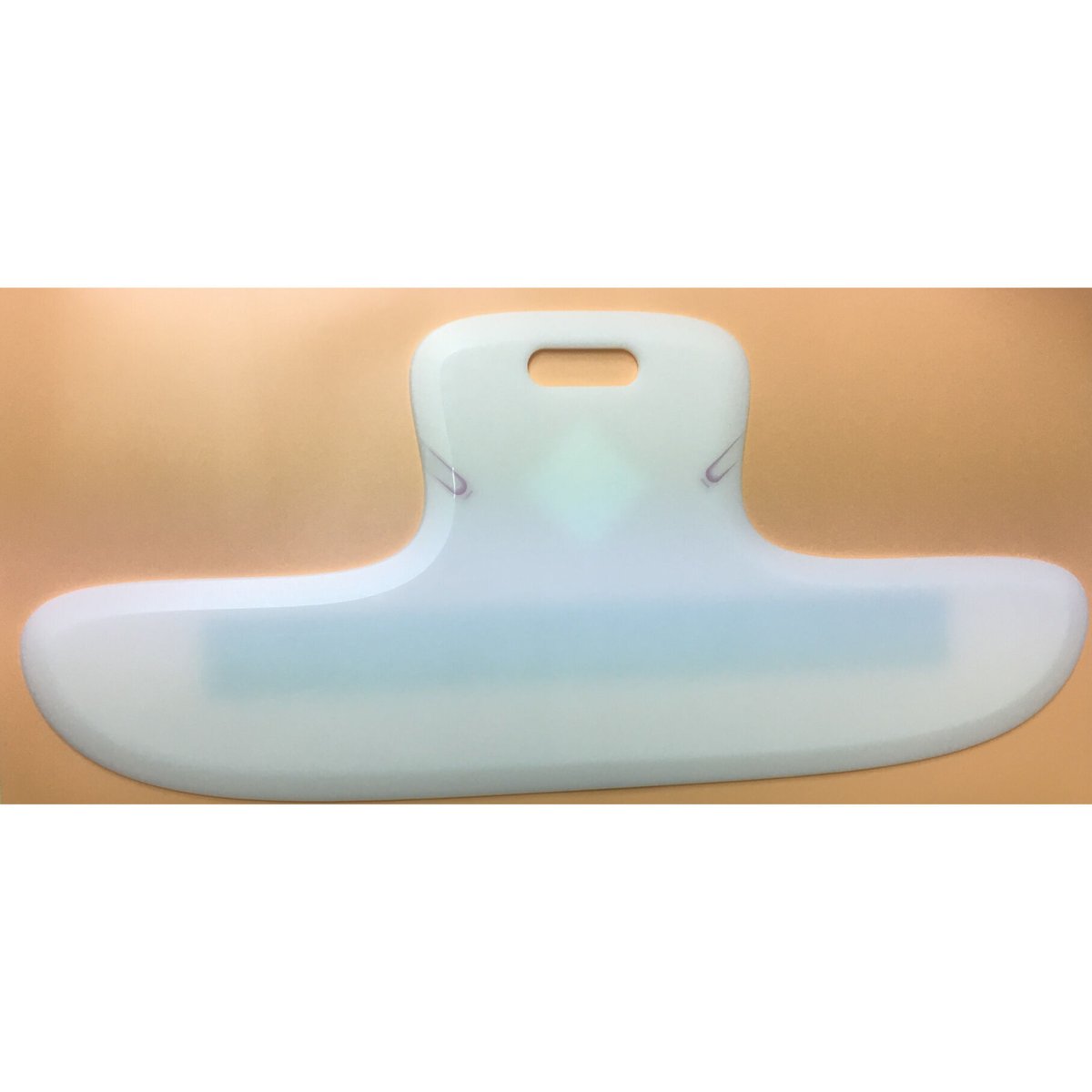 せき損式スライディングボード「つばさ」Lサイズ | ふれあいクラブ