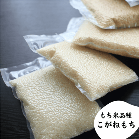 食品 ⭐︎モモンガ⭐︎様専用令和7年産農家力作⭐︎新潟とち