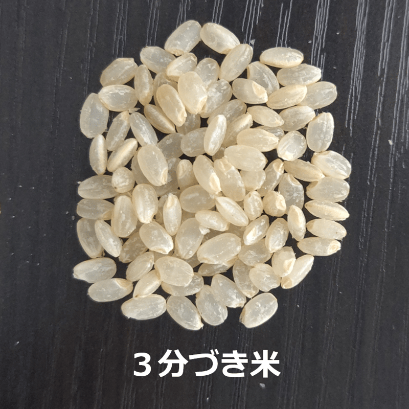 令和５年新潟産コシヒカリ３合（450g）【白米・玄米・分づき米】 | MAKIO FARM