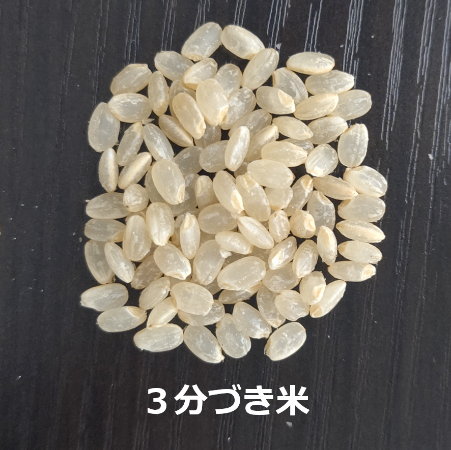 新米•令和2年産新潟コシヒカリ小分け3袋 農家直送　玄米25㌔か白米22.5㌔ 令和7年新潟産コシヒカリ3合（450g）（白米・玄米・分づき米） | MAKIO