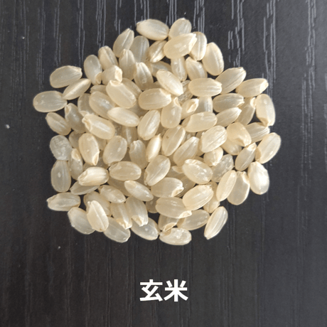 新潟産コシヒカリプチギフト（1kg）