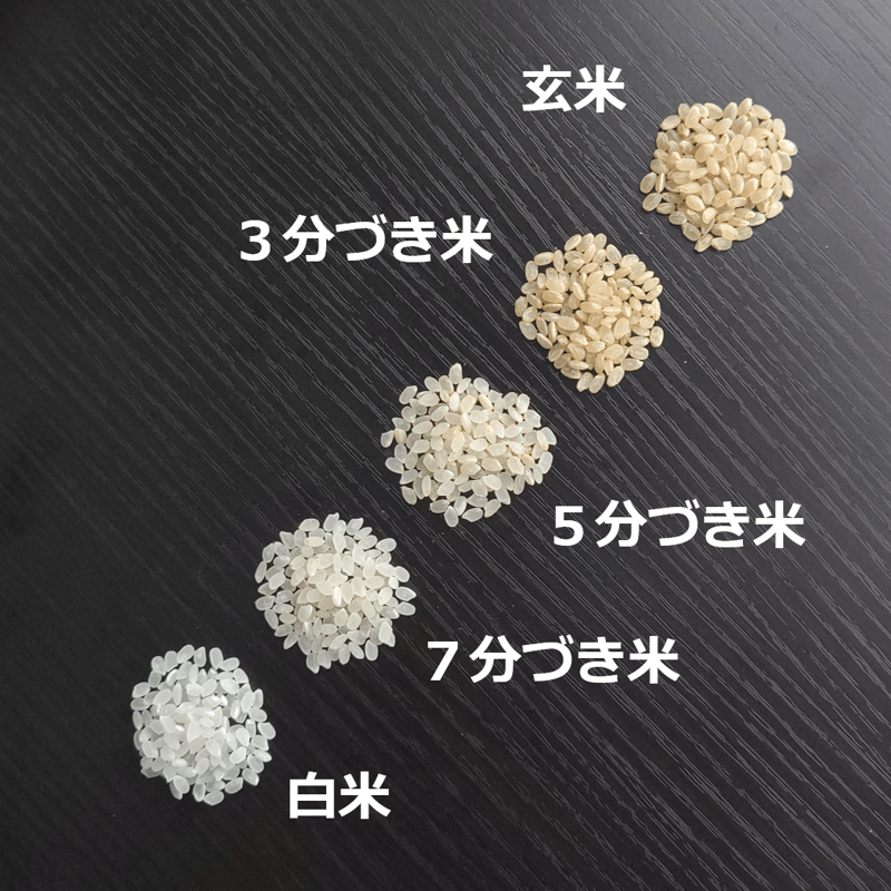 令和7年新潟産コシヒカリ3合（450g）（白米・玄米・分づき米） | MAKIO