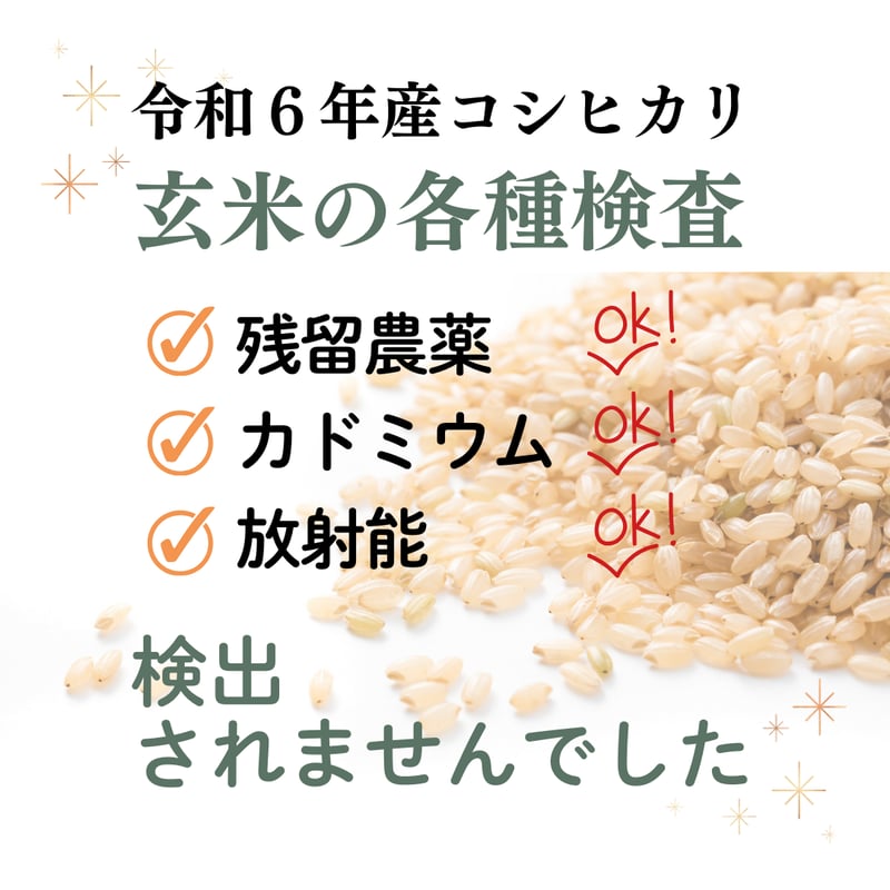 令和6年新潟産コシヒカリ2合(300g)【白米・玄米・分づき米 令和6年新潟産コシヒカリ2合(300g)【白米・玄米・分づき米