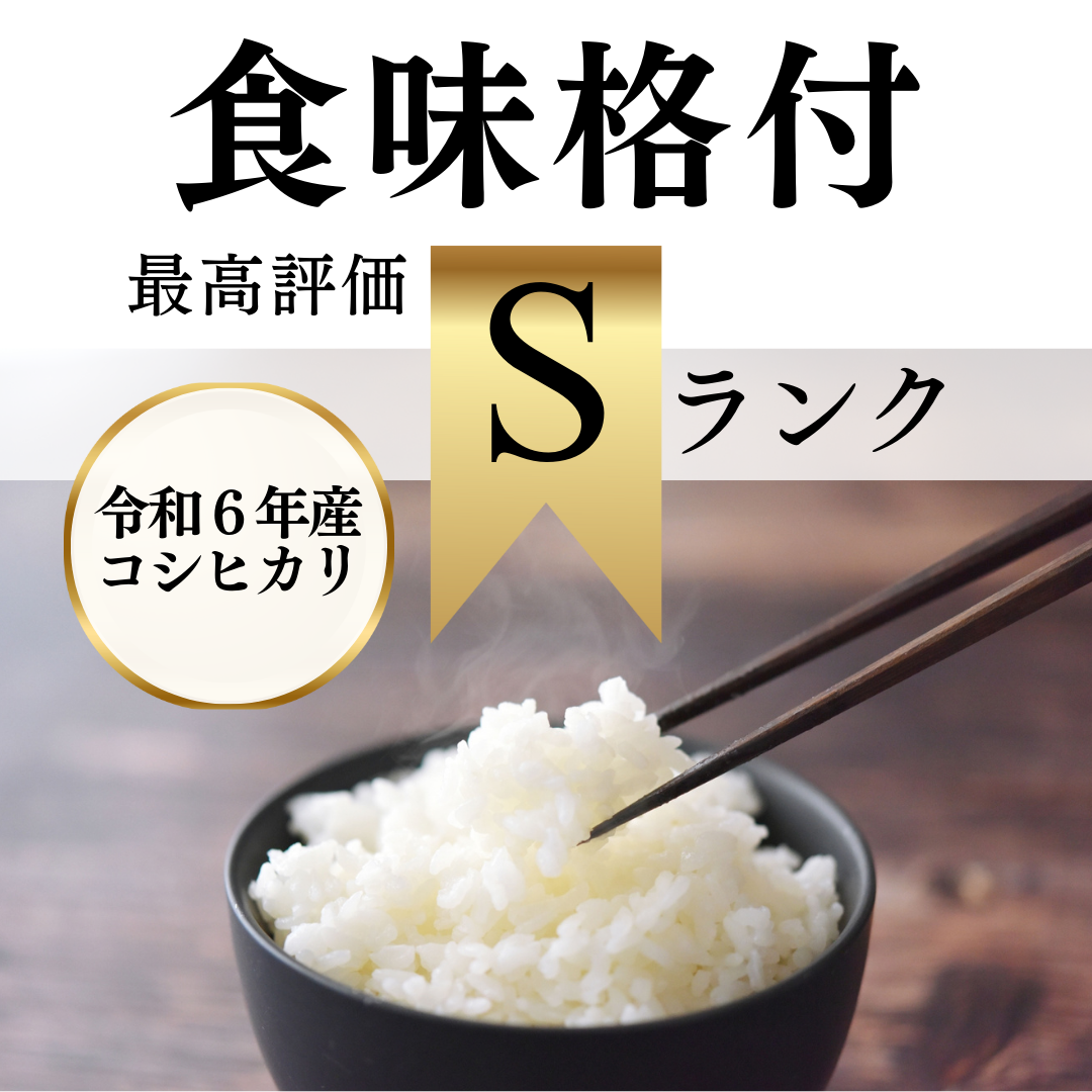 令和6年新潟産コシヒカリ2合(300g)【白米・玄米・分づき米 令和6年新潟産コシヒカリ2合(300g)【白米・玄米・分づき米
