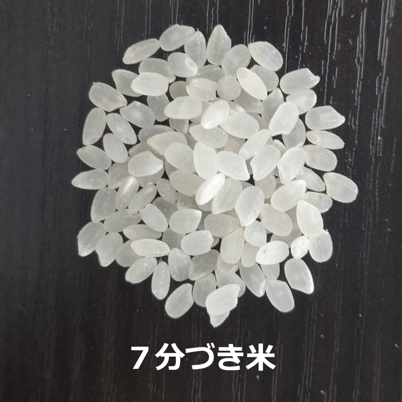 令和7年新潟産コシヒカリ3合（450g）（白米・玄米・分づき米） | MAKIO