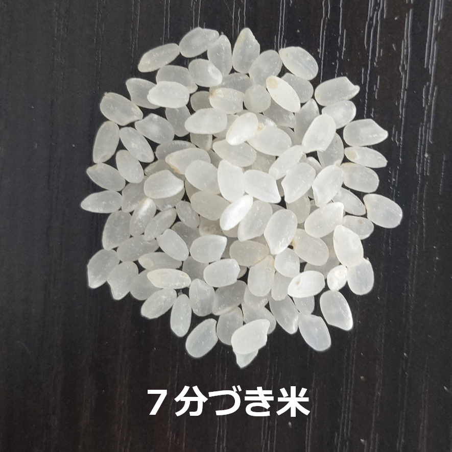 令和7年新潟産コシヒカリ3合（450g）（白米・玄米・分づき米） | MAKIO