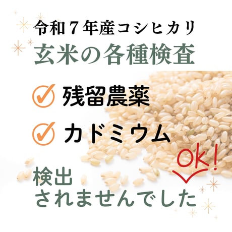 【送料込み】メッセージ米袋入り新潟産コシヒカリ10kg（白米・玄米）