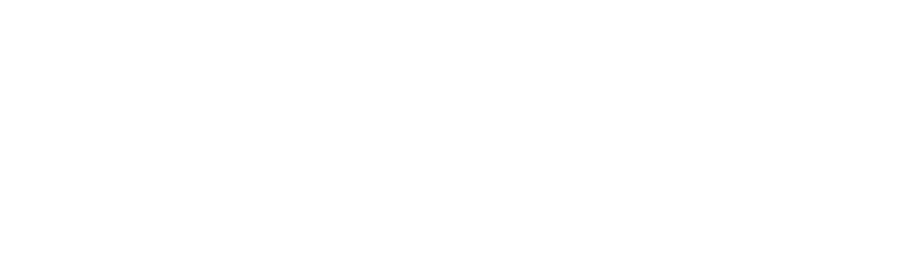 DAMAGE MARK