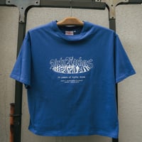 DWS 10YEARS GLOW IN THE DARK-PRINT TEE_BLUE※受注販売