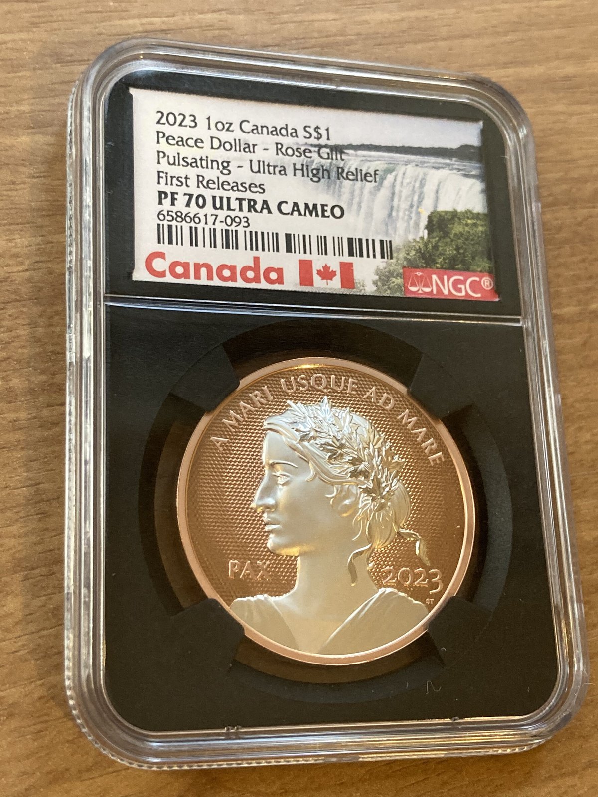 NGC70鑑定 カナダ 2023 ウルトラハイレリーフ銀貨 Gilt ローズゴールド