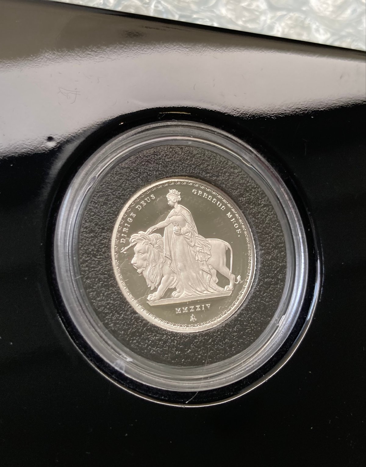 動画あり 【プラチナ・COA002番】2024年 東インド会社 ウナと