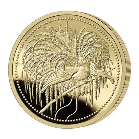 2020 パプアニューギニア 極楽鳥 100キナ 1/4オンス 金貨 プルーフコイン PCGS PR70DCAM Papua New Guinea Bird of Paradise