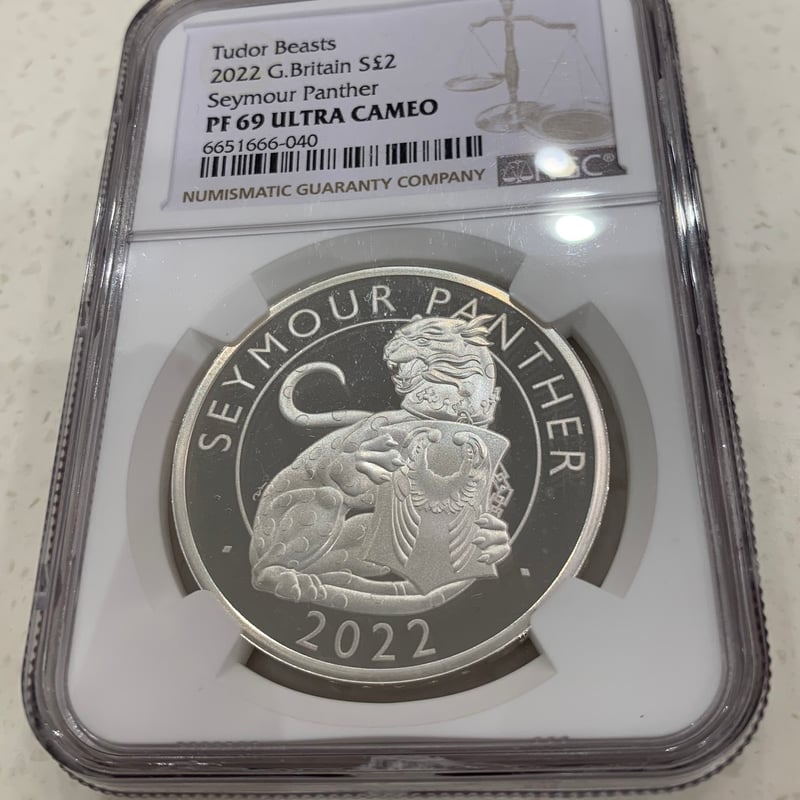 国際障害者年　西サモア　銀貨　記念コイン　ロイヤルミント 国際障害者年 西サモア 銀貨 記念コイン ロイヤルミント 国際