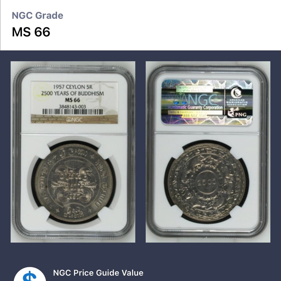 67166cb64fdf6e144946bc06