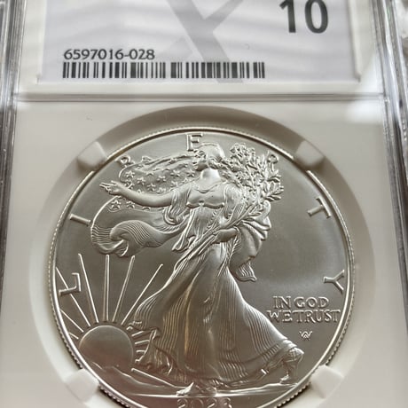 【新鑑定基準NGCX】MS10評価 2023年 イーグル銀貨 シルバーコイン 米国 アメリカ FDI 発行即日鑑定