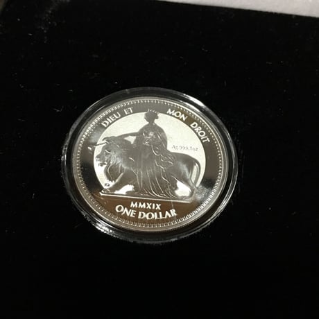 【500組限定】2枚セット ウナとライオン 2019 銀貨 コイン reverse coin リバース プルーフ