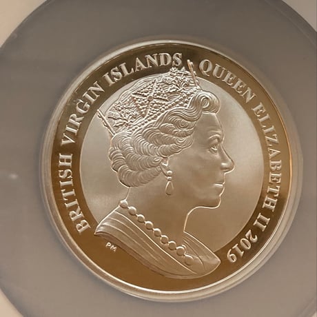 【NGC鑑定MS69】 5オンス ウナとライオン 2019 イギリス領 ヴァージン諸島 5ドル銀貨 5oz シルバーコイン 英国 BVI Una Lion BU版