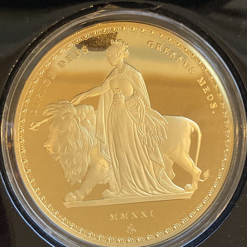 CATEGORY ウナとライオン | FutureVision's STORE