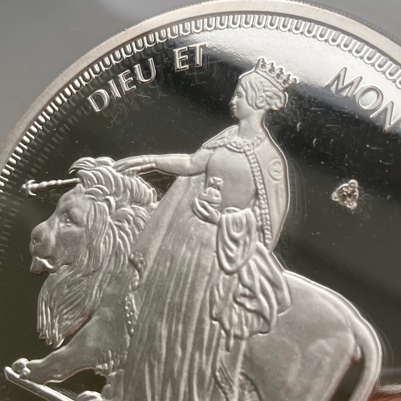 2024年 イギリス ライオン&イーグル 銀貨 NGC MS69 130番目鑑定 2024年 イギリス ライオン&イーグル 銀貨 NGC MS69 130番目鑑定