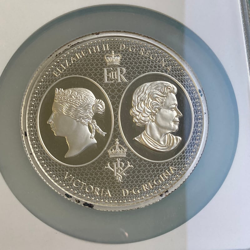 NGC鑑定PF69・100カナダドル版】カナダのウナとライオン 10オンス銀貨