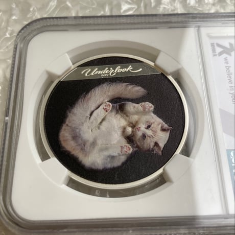 NGC鑑定PF70 クック諸島 2024年 アンダールック・キャット ネコ 猫 銀貨 シルバー プルーフ コイン Andrius Burba Underlookcat