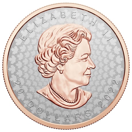 カナダ メイプルリーフ銀貨 2022年 特殊打刻コイン 20ドル カナディアンミント