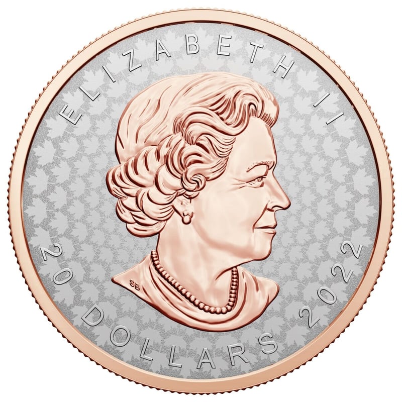 カナダ メイプルリーフ銀貨 2022年 特殊打刻コイン 20ドル