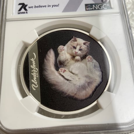 NGC鑑定PF70 クック諸島 2024年 アンダールック・キャット ネコ 猫 銀貨 シルバー プルーフ コイン Andrius Burba Underlookcat