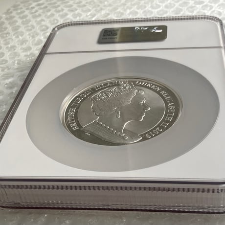 【NGC鑑定MS66】 5オンス ウナとライオン 2019 イギリス領 ヴァージン諸島 5ドル銀貨 5oz シルバーコイン 英国 BVI Una Lion BU版
