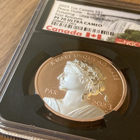 NGC70鑑定 カナダ 2023 ウルトラハイレリーフ銀貨 Gilt ローズゴールドカラー版・メッキ仕様 1オンスプルーフコイン canada UHR