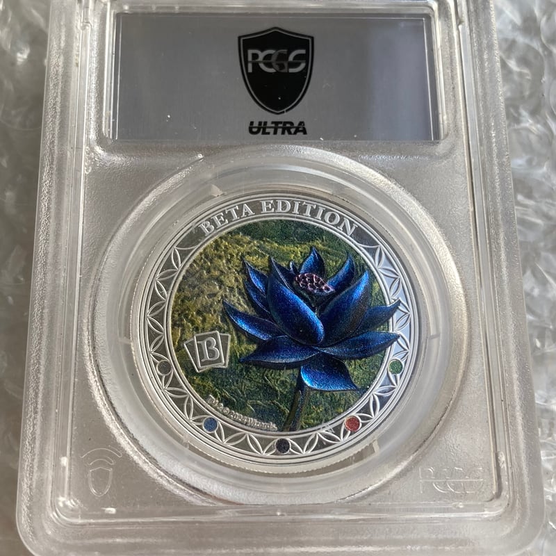 CATEGORY 銀貨 | FutureVision's STORE