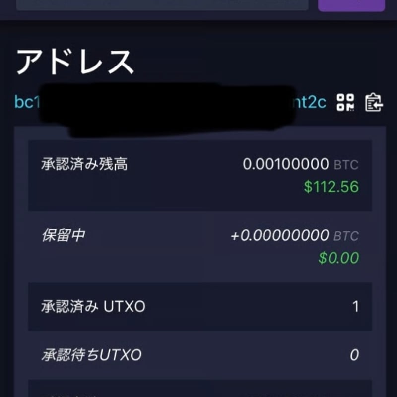 0.001BTCが内蔵】ビットコイン モチーフ ミントパーフェクトスラブ入り